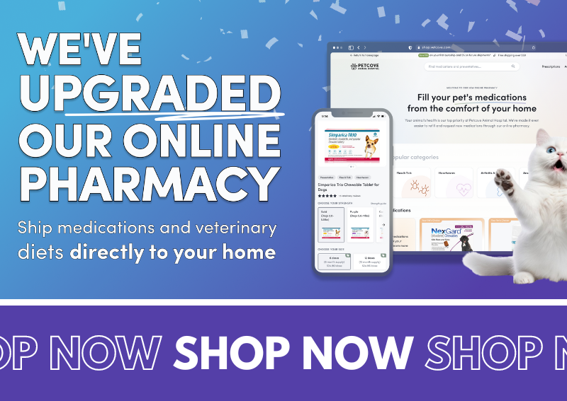 Carousel Slide 5: Check out our online pharmacy!
