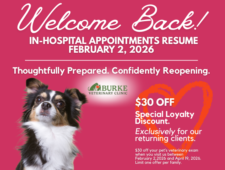 Welcome Back! In-Hospital Appointments Resume February 2, 2026