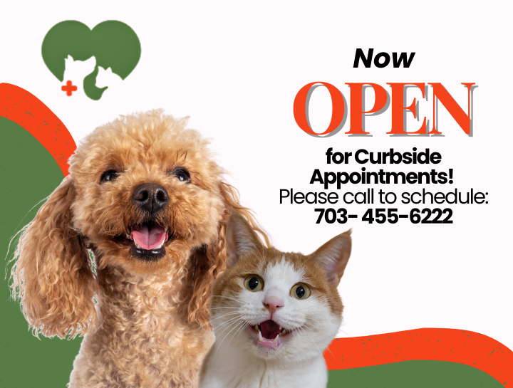 We’re open and excited to help you schedule your pet’s care.