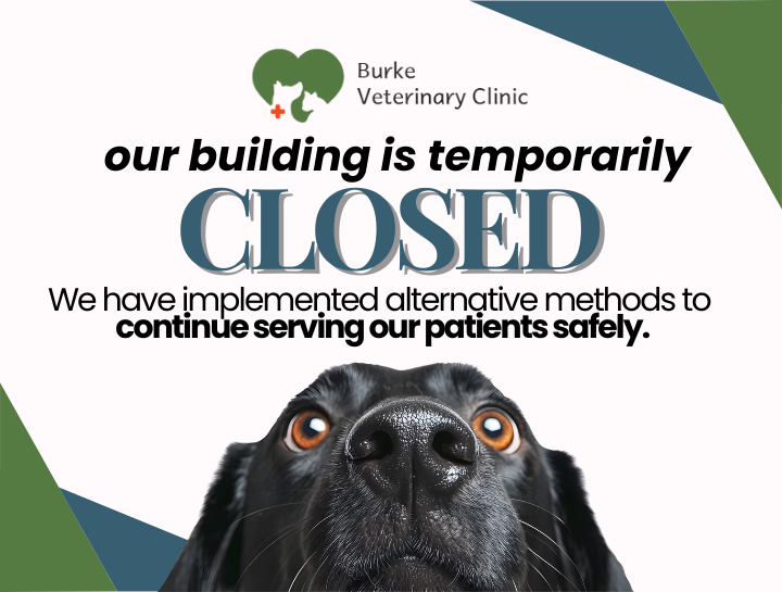 Important Notice